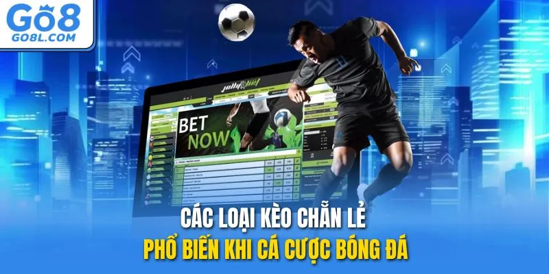 Các loại kèo chẵn lẻ phổ biến khi cá cược bóng đá