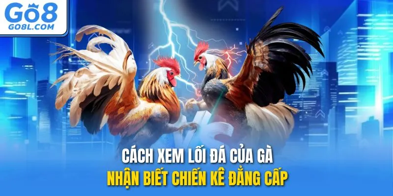 cách xem lối đá của gà
