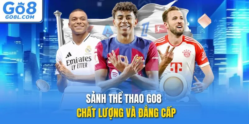Sảnh thể thao GO8 - Chất lượng và đẳng cấp